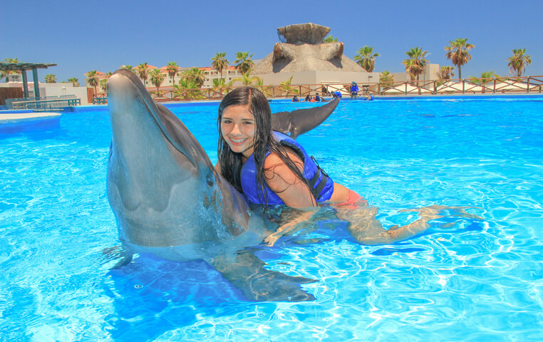 Dolphin Swim in Cabo
