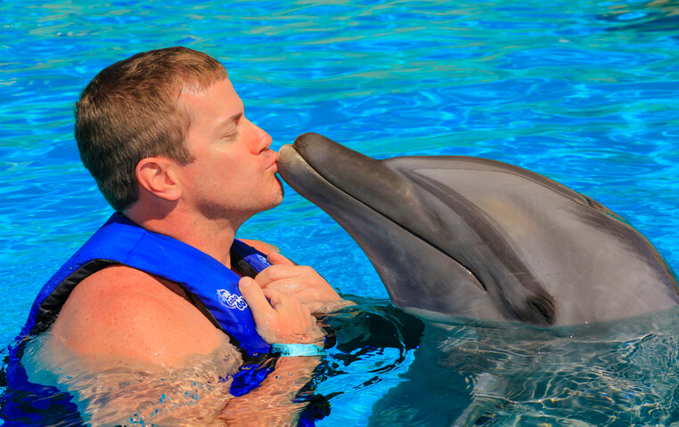 Dolphin Center in Cabo San Lucas