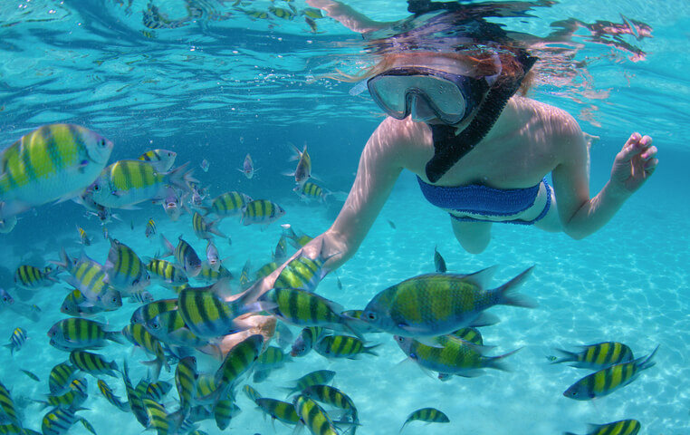 Snorkeling Tour at Chileno Bay