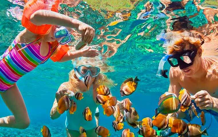 snorkeling tours in cabo