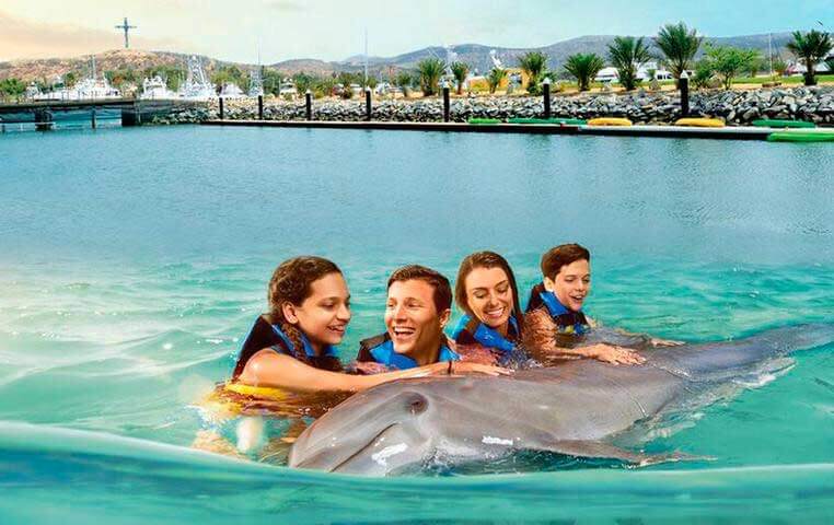 Family Petting a Dolphin in the Pool of the Cabo Dolphin Center