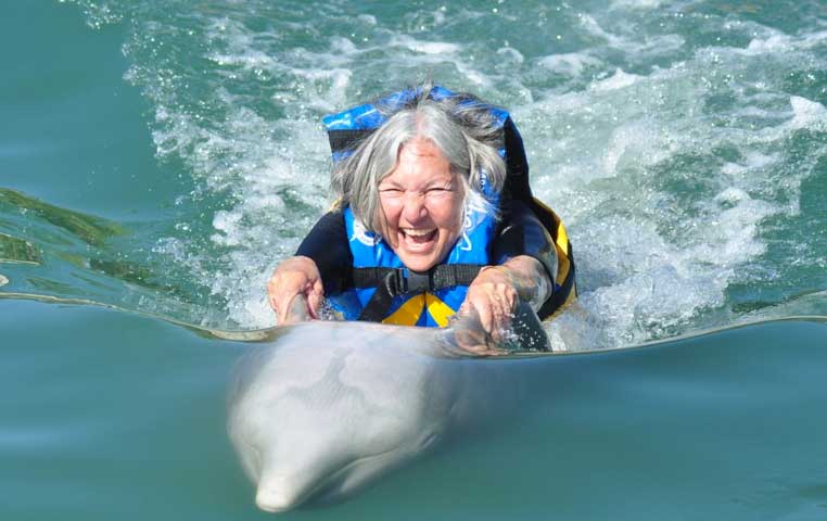 Cabo San Lucas Dolphin Experience