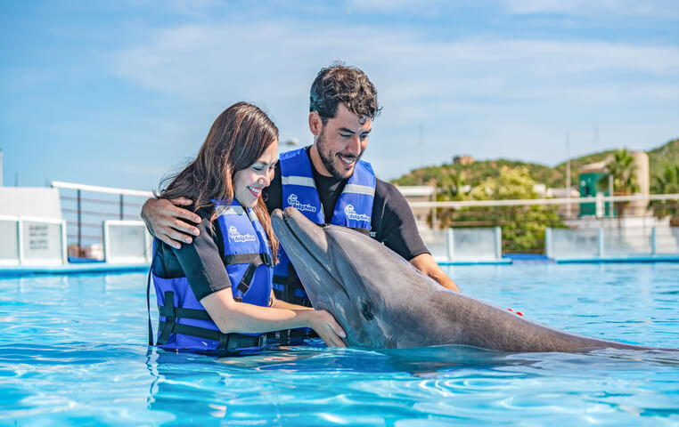 Swim with Dolphins in Cabo