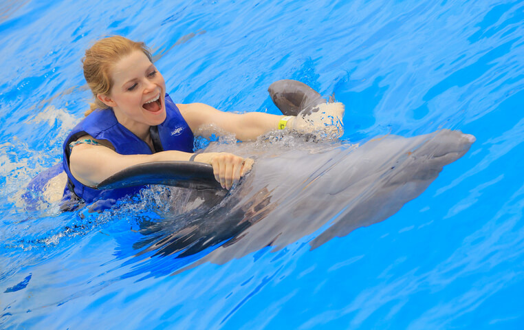 Swimming with Dolphins in Cabo San Lucas