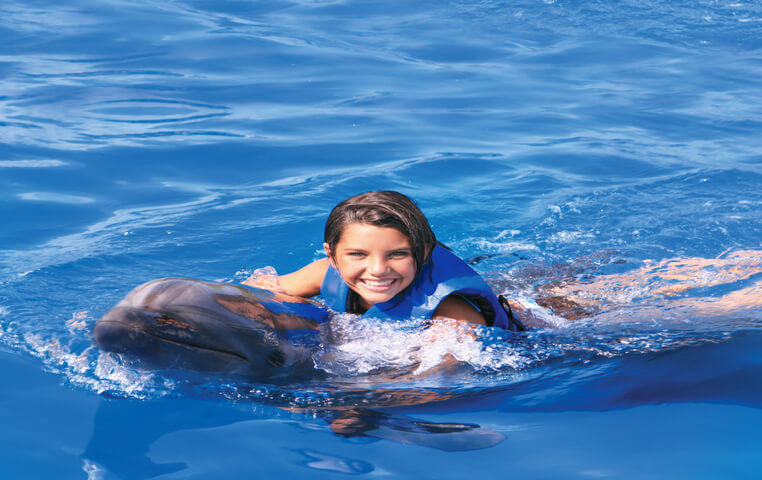 Cabo San Lucas Dolphin Swimming