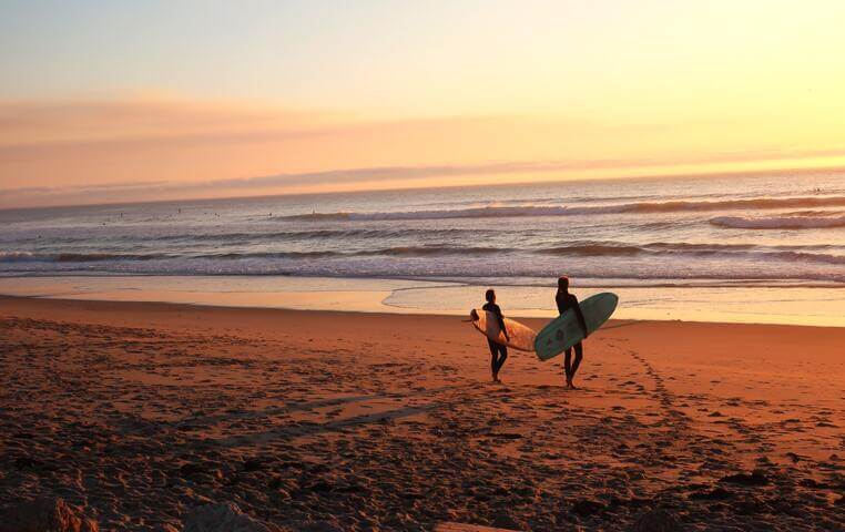 Los Cabos Surfing Tour
