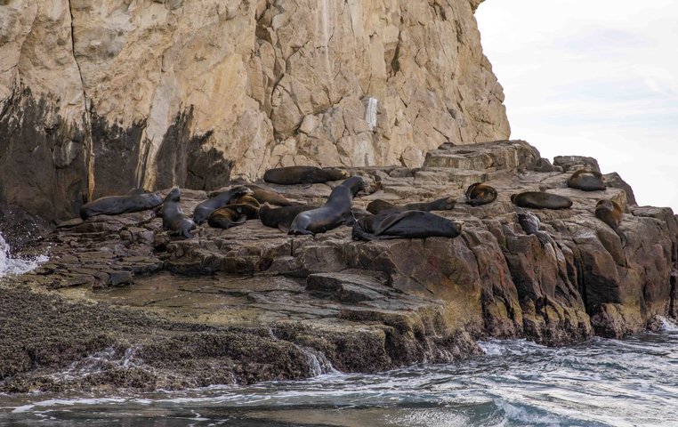 Happy Lady presuming the Cabo Arch