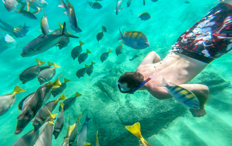Best Beach in Cabo San Lucas