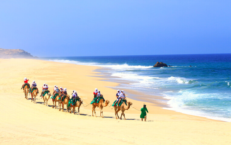 Camel Ride - Camel Safari - Tour | Cabo Day Trips