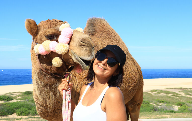 On a Camel Tour and Safari in Cabo San Lucas