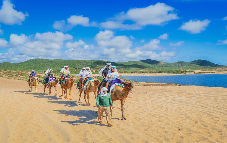 Camel Ride - Camel Safari - Tour | Cabo Day Trips