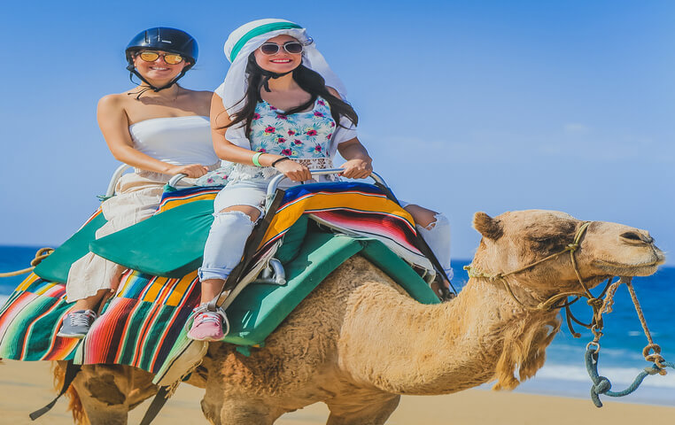 Camel Ride - Camel Safari - Tour | Cabo Day Trips