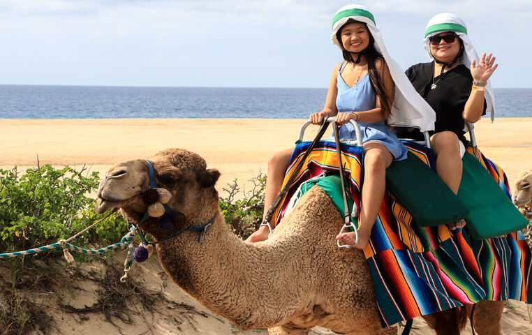 Camel Ride in Cabo