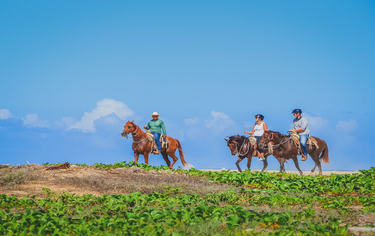 Horseback Riding in San Jose del Cabo