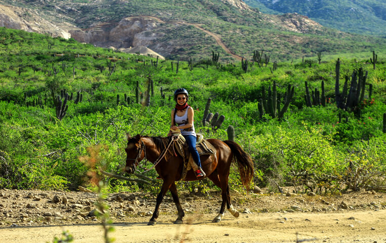 Riding a Horse on a Cabo San Lucas Beach