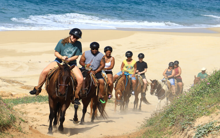 Horseback Riding in Cabo