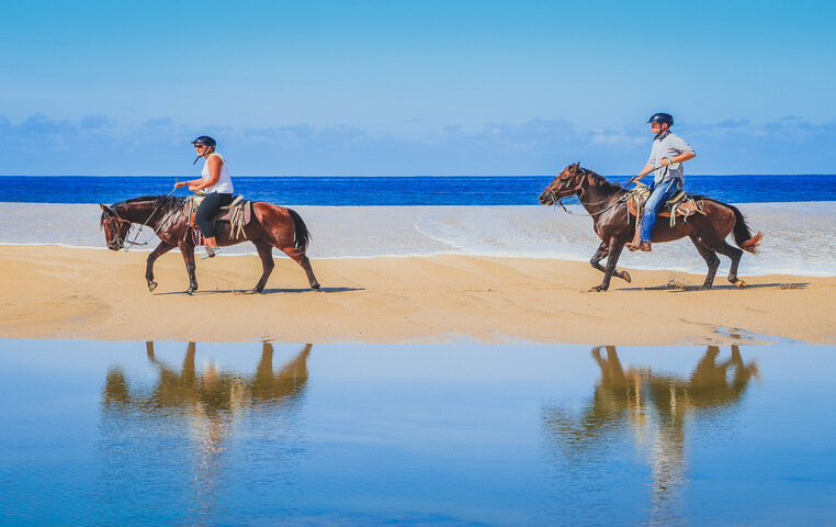 Cabo Horses