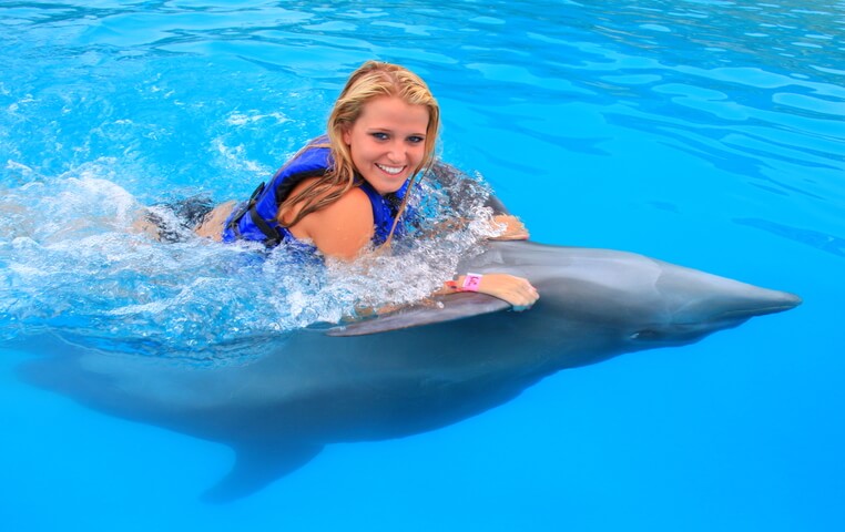Swimming with Dolphins in Cabo