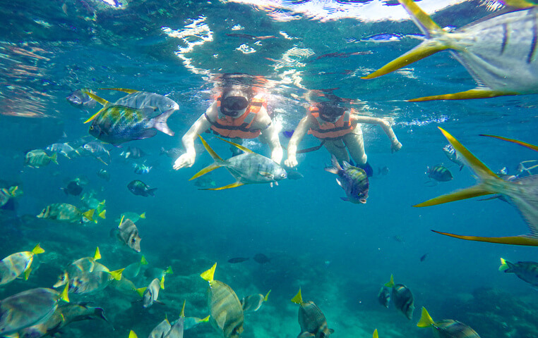 Snorkeling Tour in Los Cabos Mexico