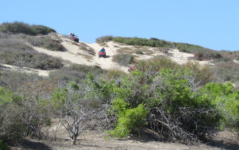 Ride your ATV in San Jose del Cabo