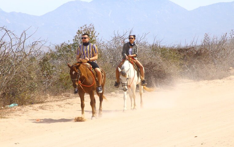 Cabo San Lucas Private Horseback Riding
