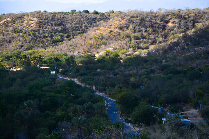 Hiking Tour in Los Cabos