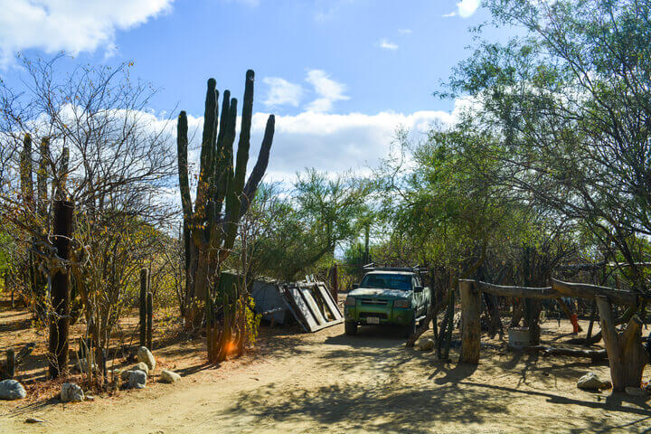 Hiking Tour in San Jose del Cabo