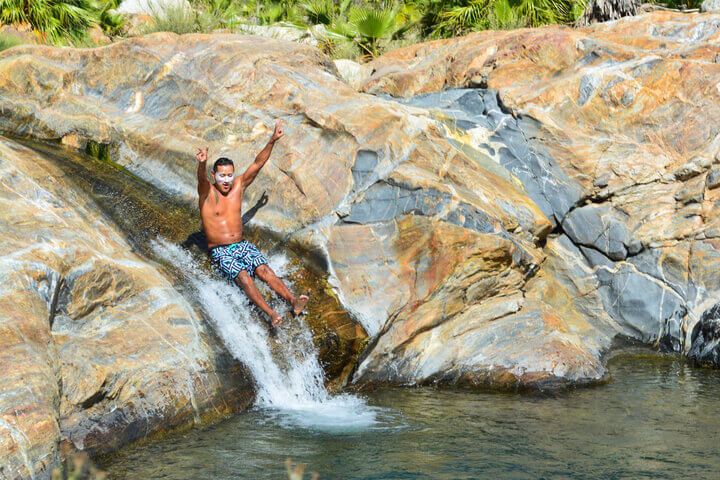 Nature Tours in Cabo San Lucas
