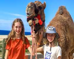 Los Cabos Camel Tour