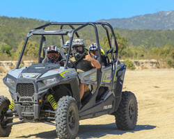 Buggy