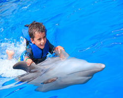 Dolphin Kids