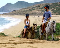 Los Cabos Horseback Riding