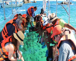 Clear Boat City Tour