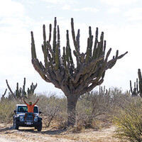 Jeep Tour in Cabo San Lucas