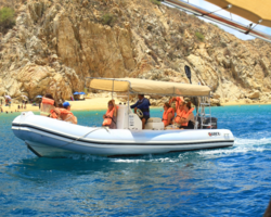 Snorkeling in Cabo San Lucas