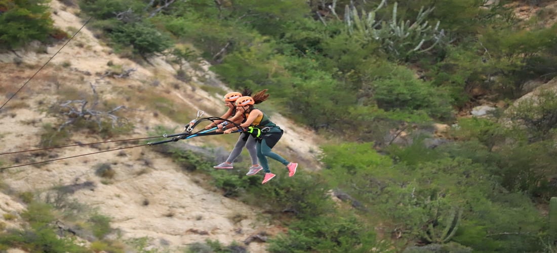 Cabo Sling Swing Cabo Day Trips pic image