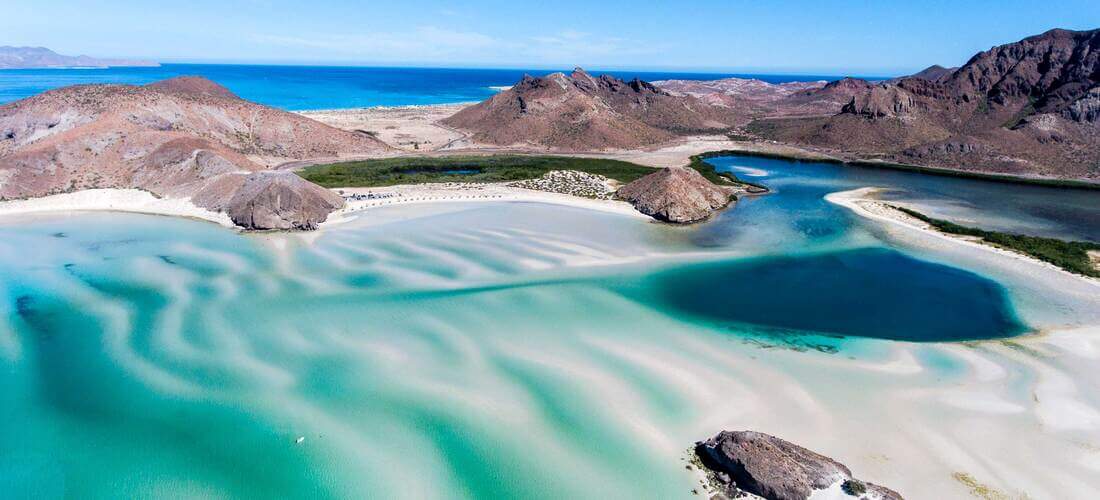 Espiritu Santo Tour Sea Lion Snorkel Cabo Day Trips