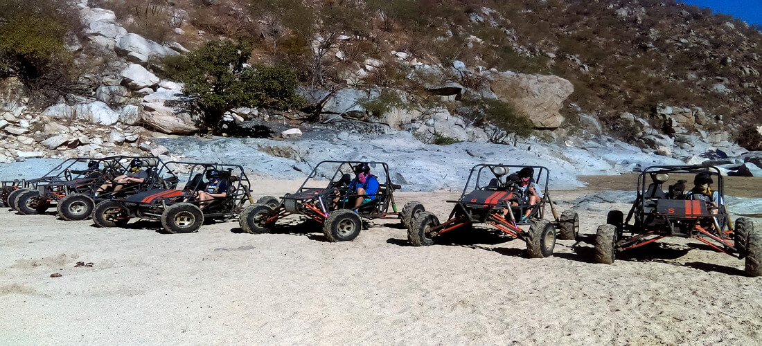 Dune buggy tours on sale